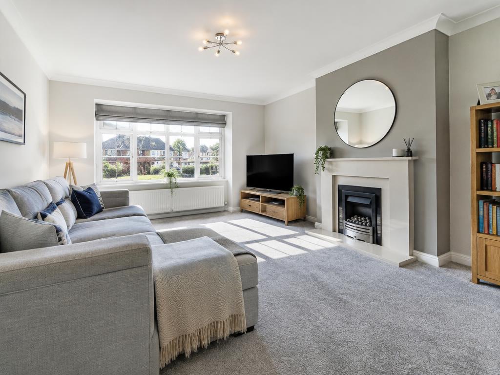 Carpets flooring